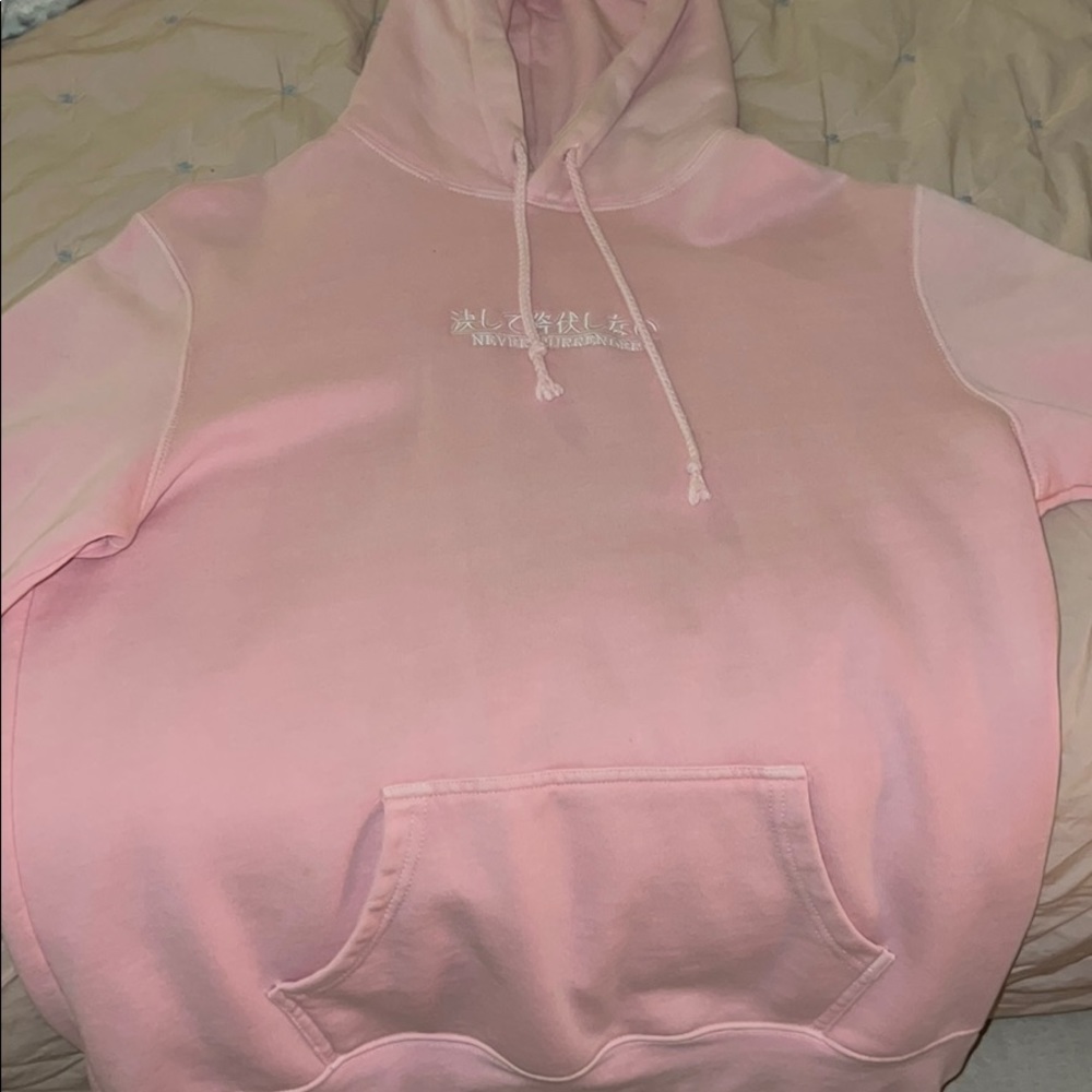 COPY - Pacsun Hoodie